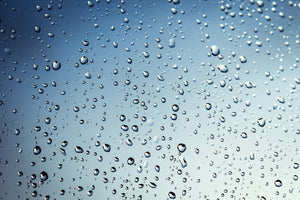 poster-print-a-wall-of-rain