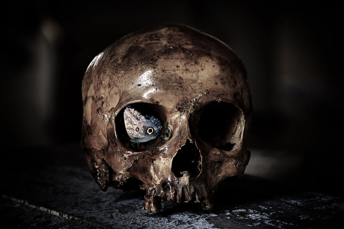 acrylic-print-the-skull