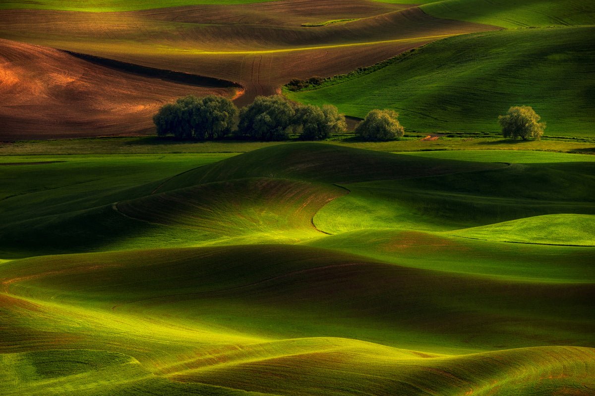acrylic-print-spring-in-the-palouse