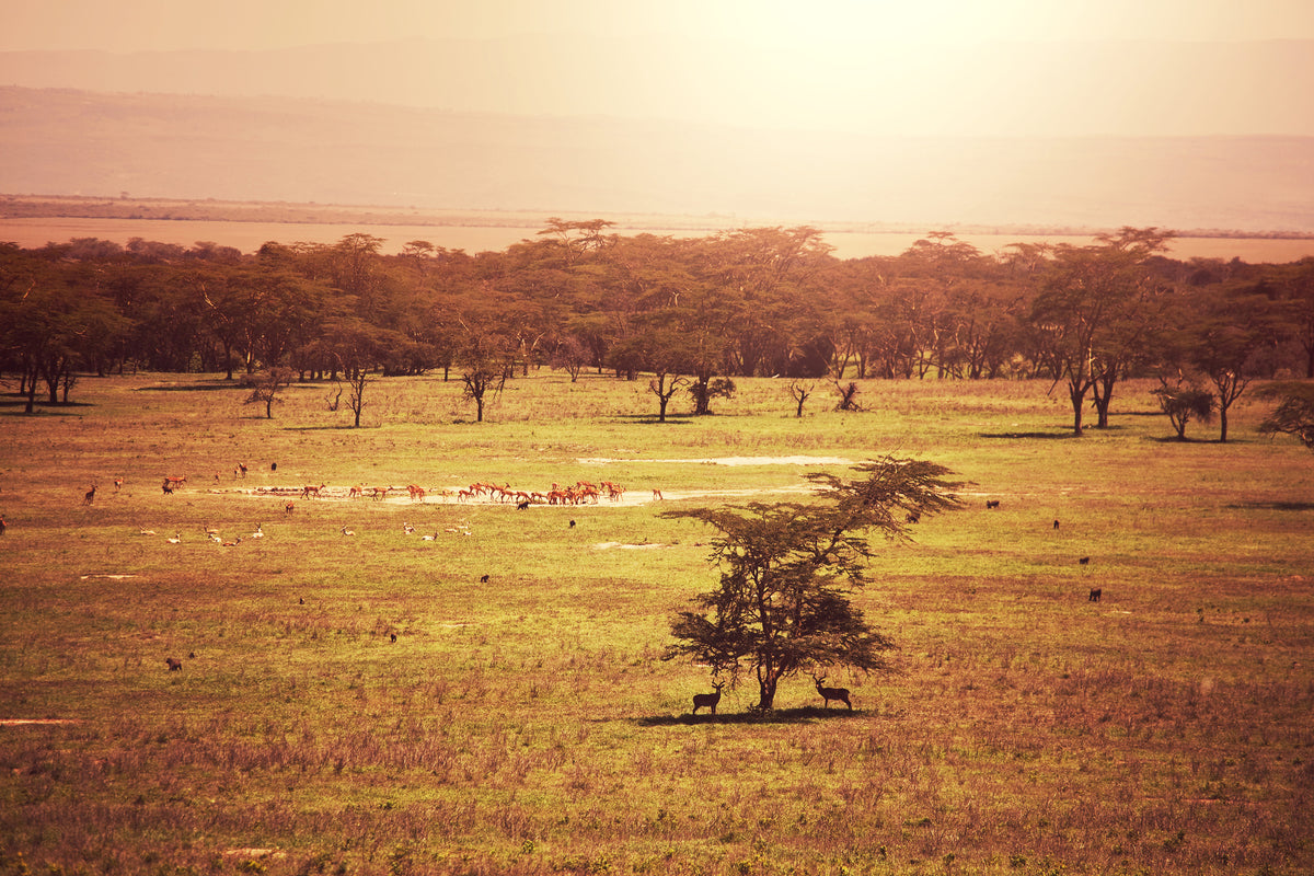modern-3-piece-aluminium-print-picturesque-africa