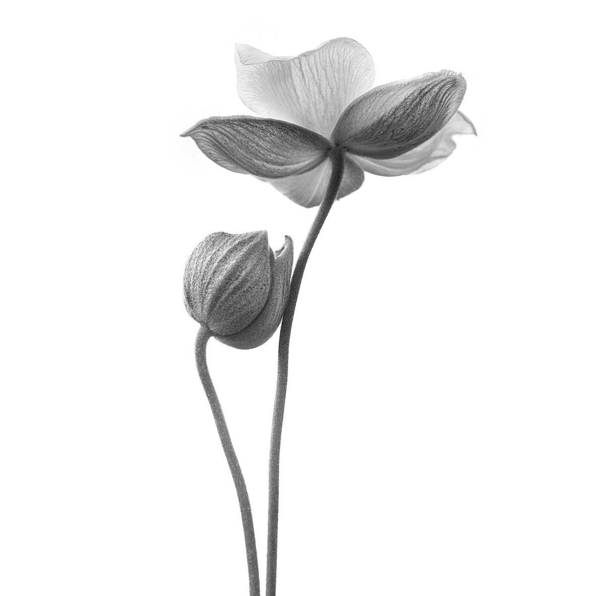 9-piece-aluminium-print-a-little-touch-monochrome