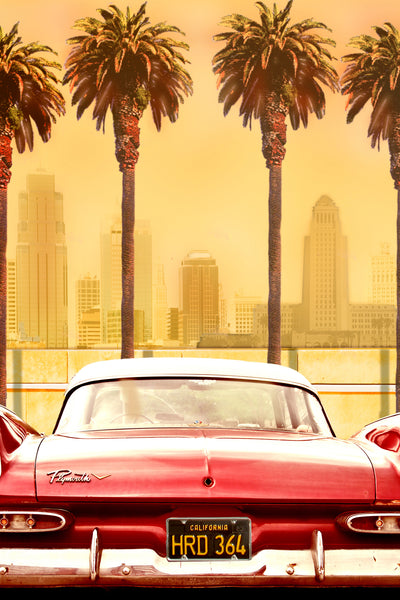poster-print-plymouth-savoy-with-palms