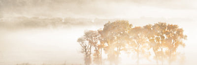 panoramic-poster-print-autumn-dreams-panorama