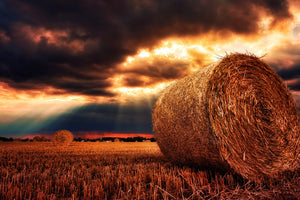 aluminium-print-mystic-landscape