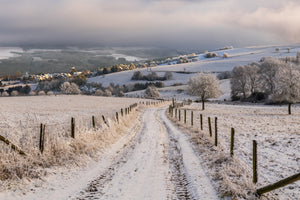 poster-print-winter-wonderland
