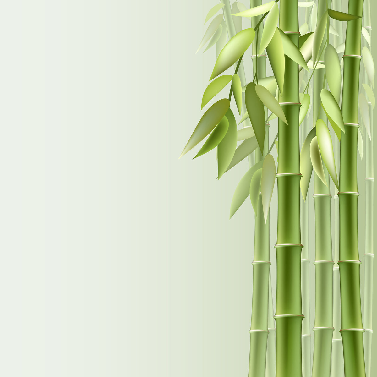 9-piece-aluminium-print-green-bamboo