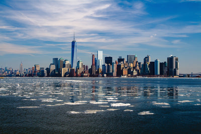 poster-print-new-york-in-winter