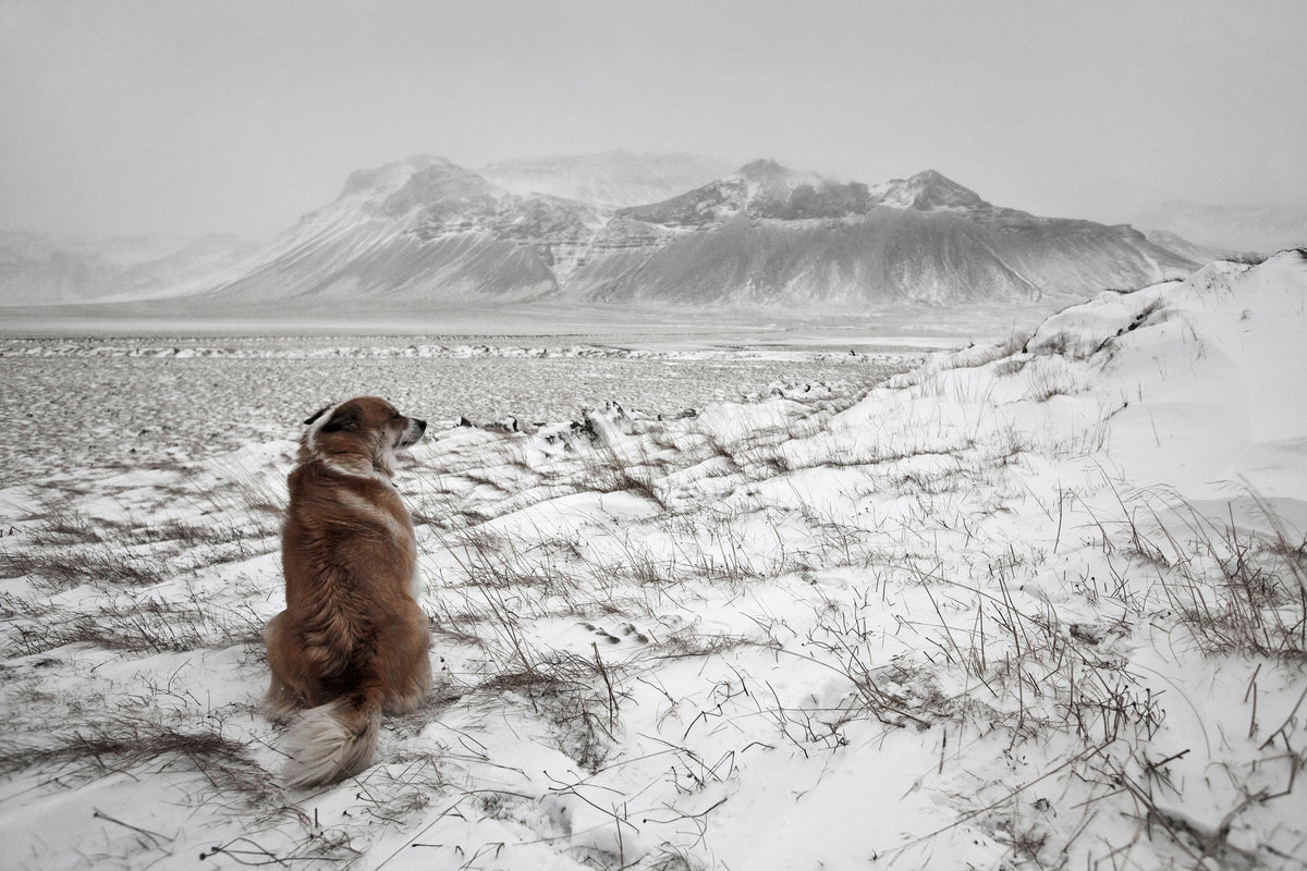 acrylic-print-snowstorm-x