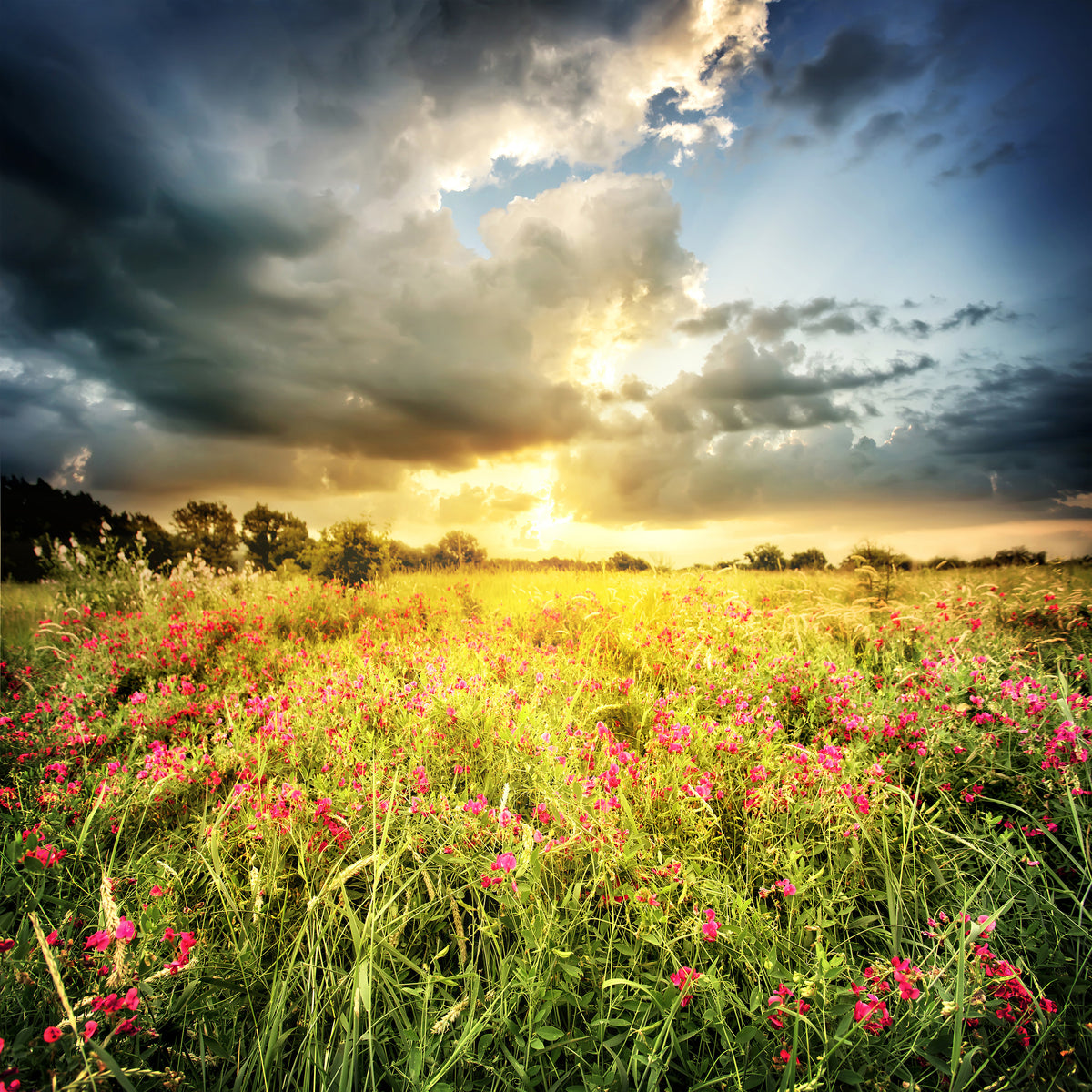 4-piece-canvas-print-flowers-landscape