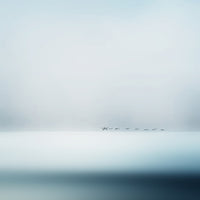 poster-print-wild-geese