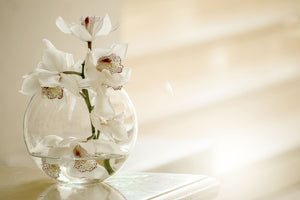 framedcanvas-print-orchid-in-the-glass