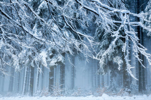 aluminium-print-snowworld-x