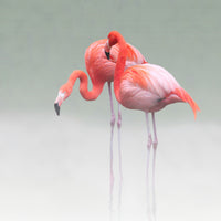 9-piece-canvas-print-just-we-two