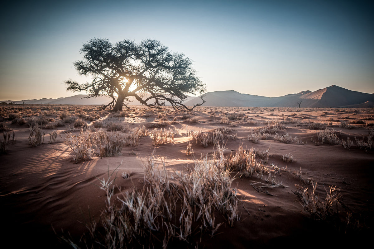 aluminium-print-longing-africa