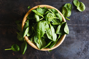 acrylic-print-leaves-of-basil-iii