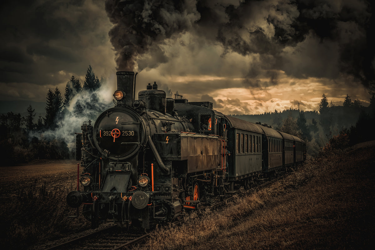 framedcanvas-print-gold-digger-train-x