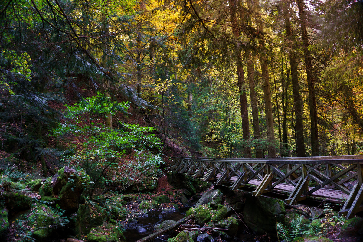 3-piece-acrylic-print-the-forest-bridge