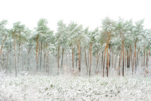 poster-print-snow-world