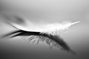poster-print-white-xza