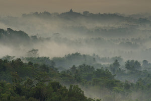 framedposter-print-temple-in-the-mist