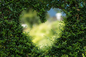 3-piece-aluminium-print-the-heart-in-the-hedge