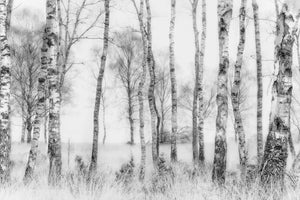poster-print-black-and-white