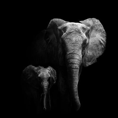 poster-print-mother-and-child-x