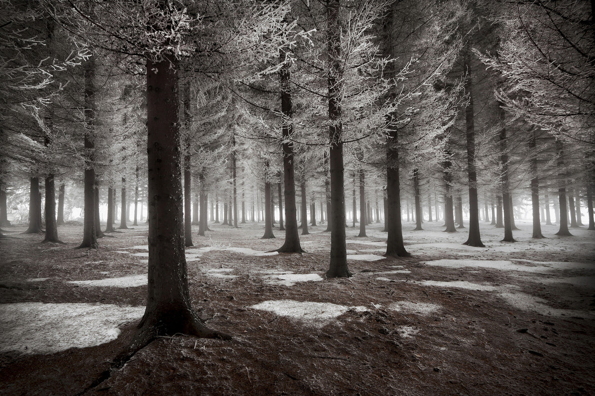 canvas-print-the-onset-of-winter