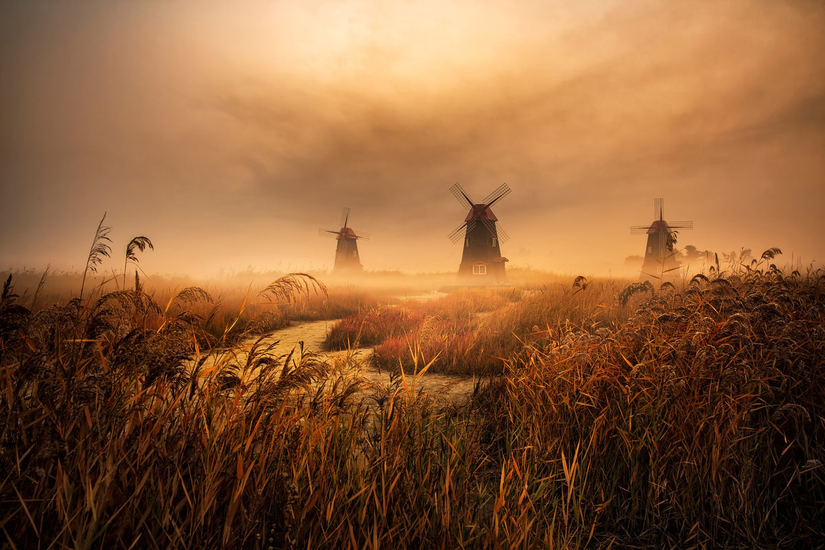 canvas-print-a-fascinating-morning-x