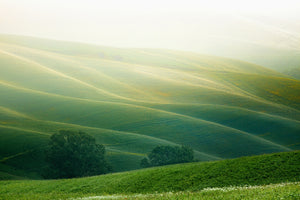 framedcanvas-print-tuscany