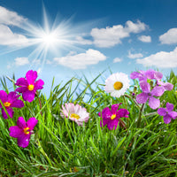 9-piece-aluminium-print-flowering-meadow