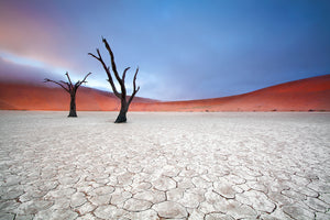 acrylic-print-mist-over-deadvlei-x