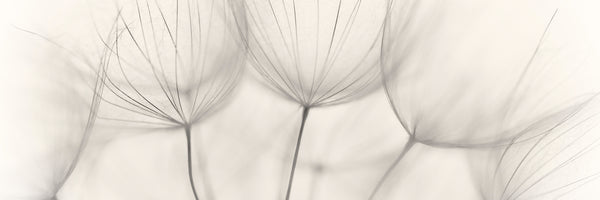 panoramic-3-piece-canvas-print-no-title-panorama