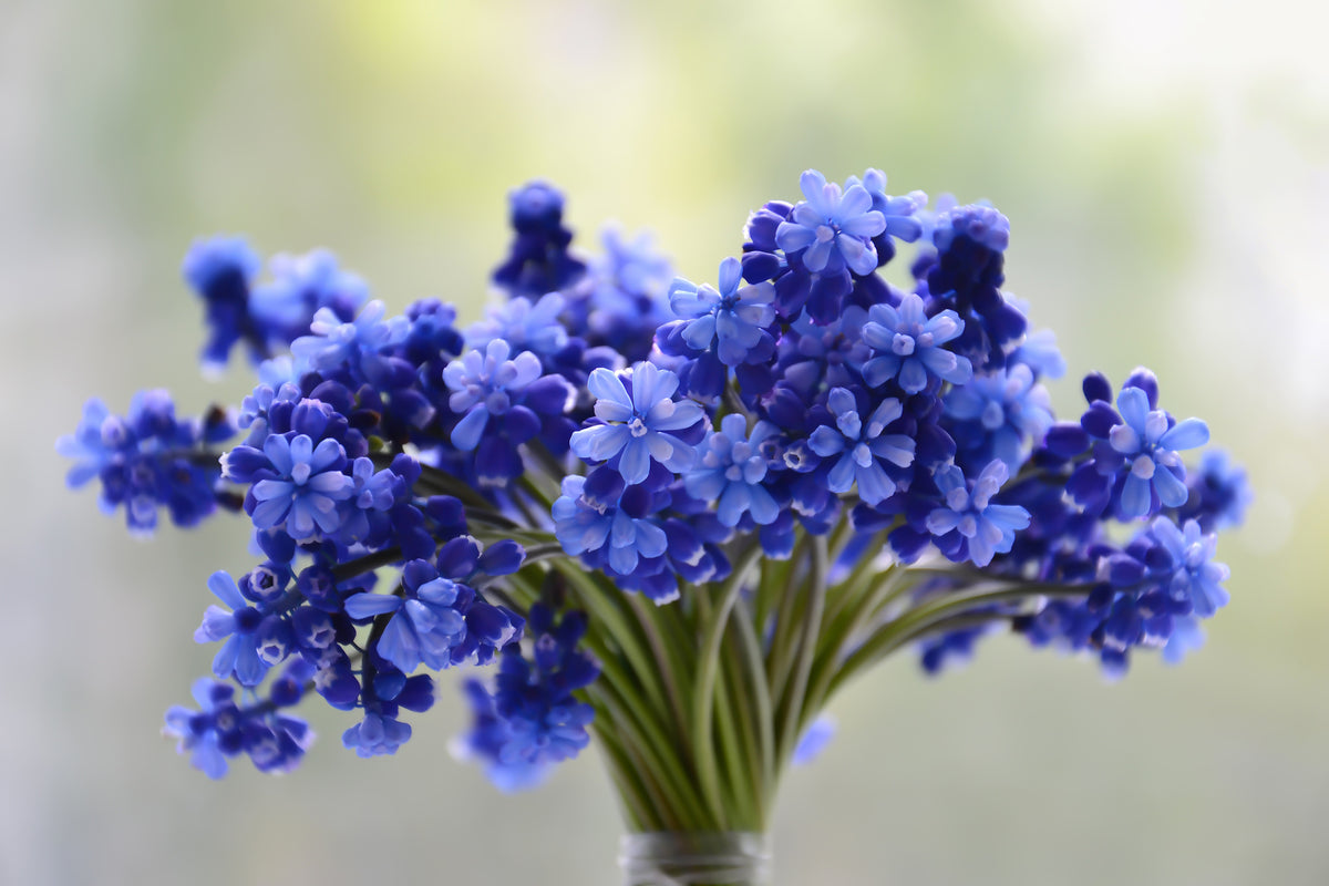 3-piece-aluminium-print-a-bouquet-of-flowers