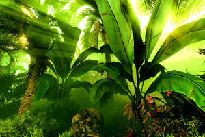 3-piece-aluminium-print-sunrise-in-the-rainforest