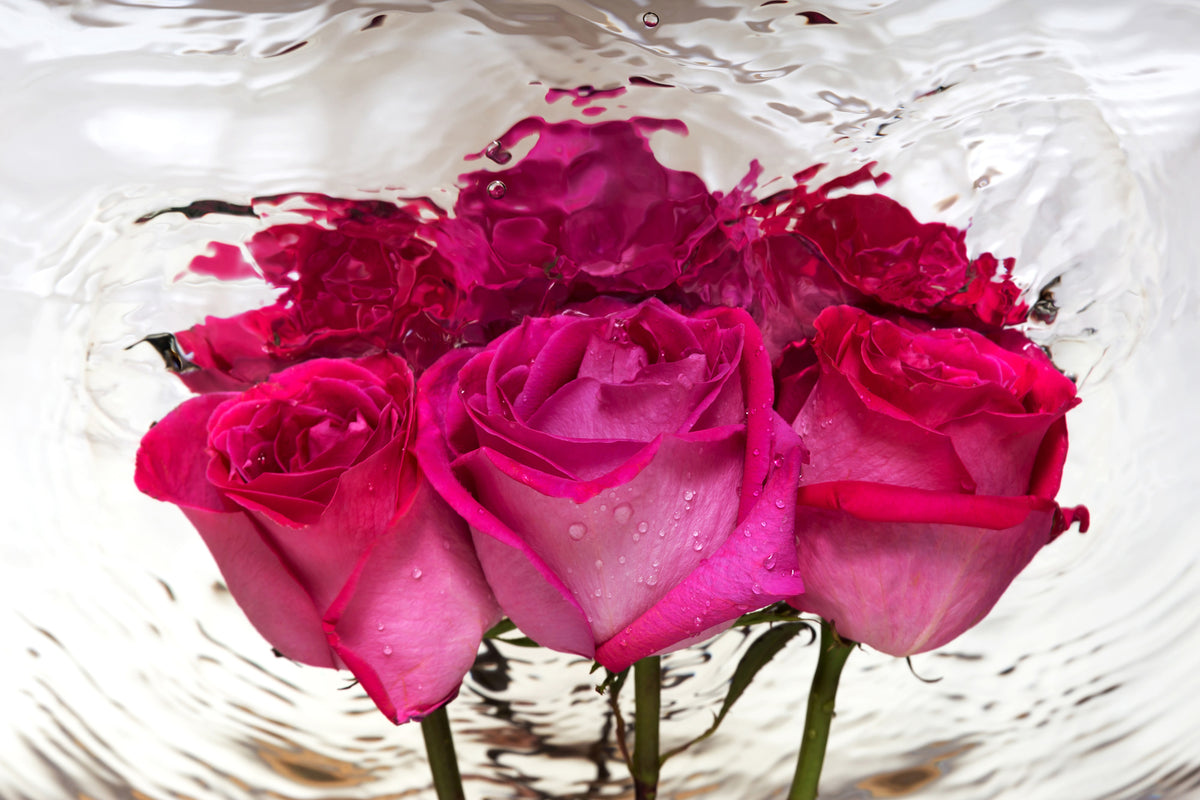 modern-3-piece-canvas-print-the-rose-reflection