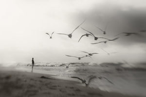 aluminium-print-quiet-dreams-x