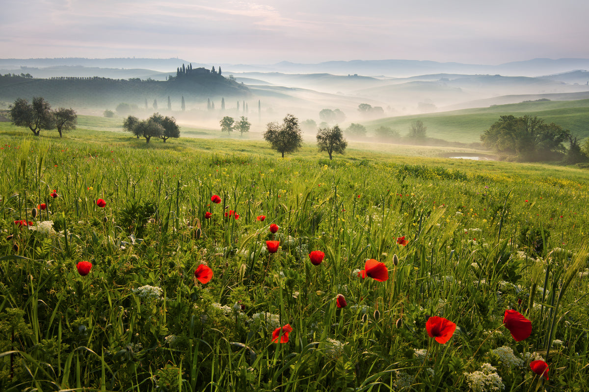 modern-3-piece-aluminium-print-tuscan-spring