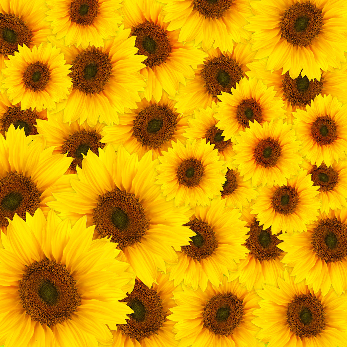 9-piece-canvas-print-a-bouquet-sunflower