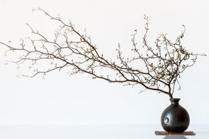 canvas-print-vase-and-branch-x