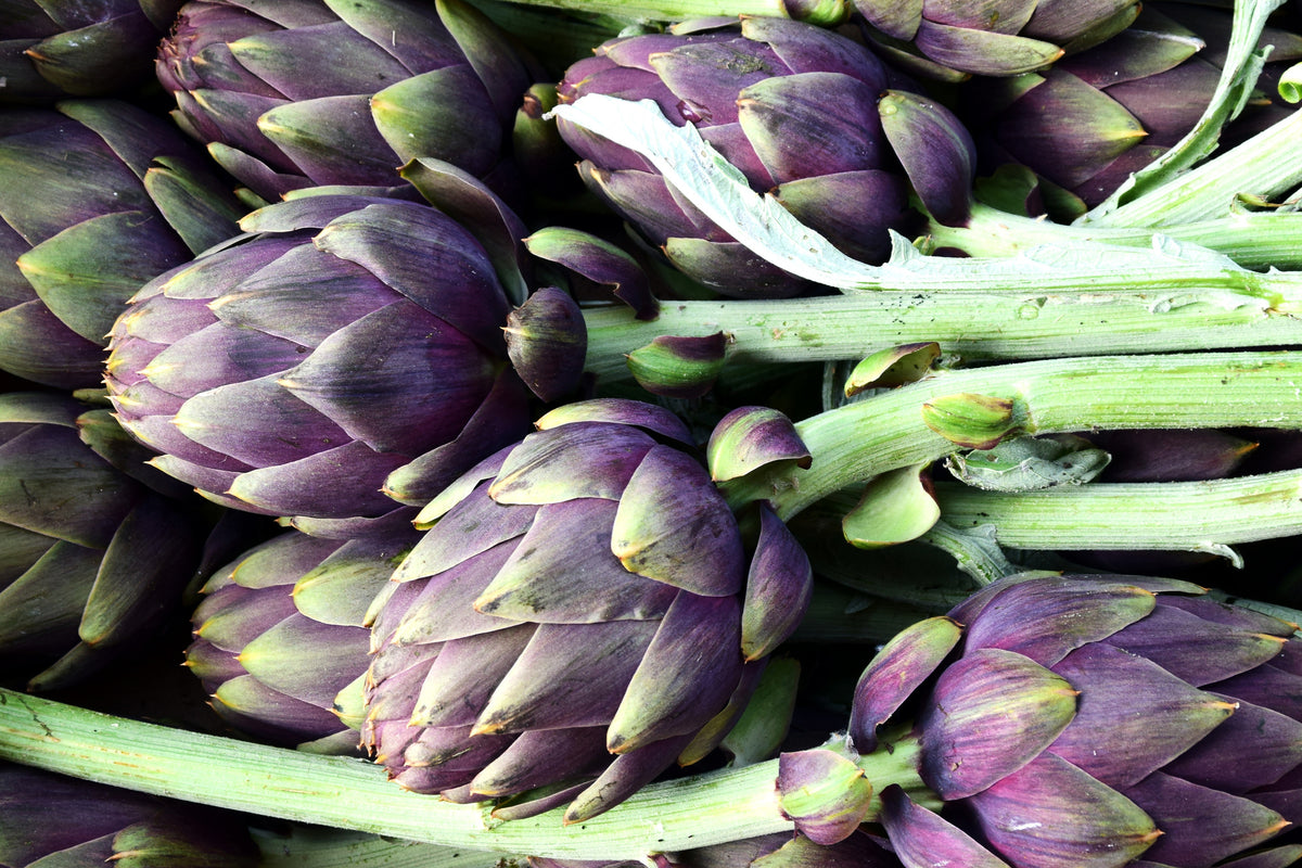 framedcanvas-print-fresh-artichokes