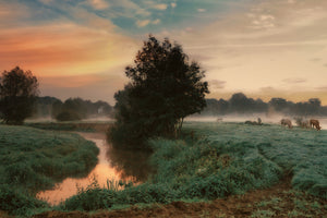 aluminium-print-foggy-dream-x