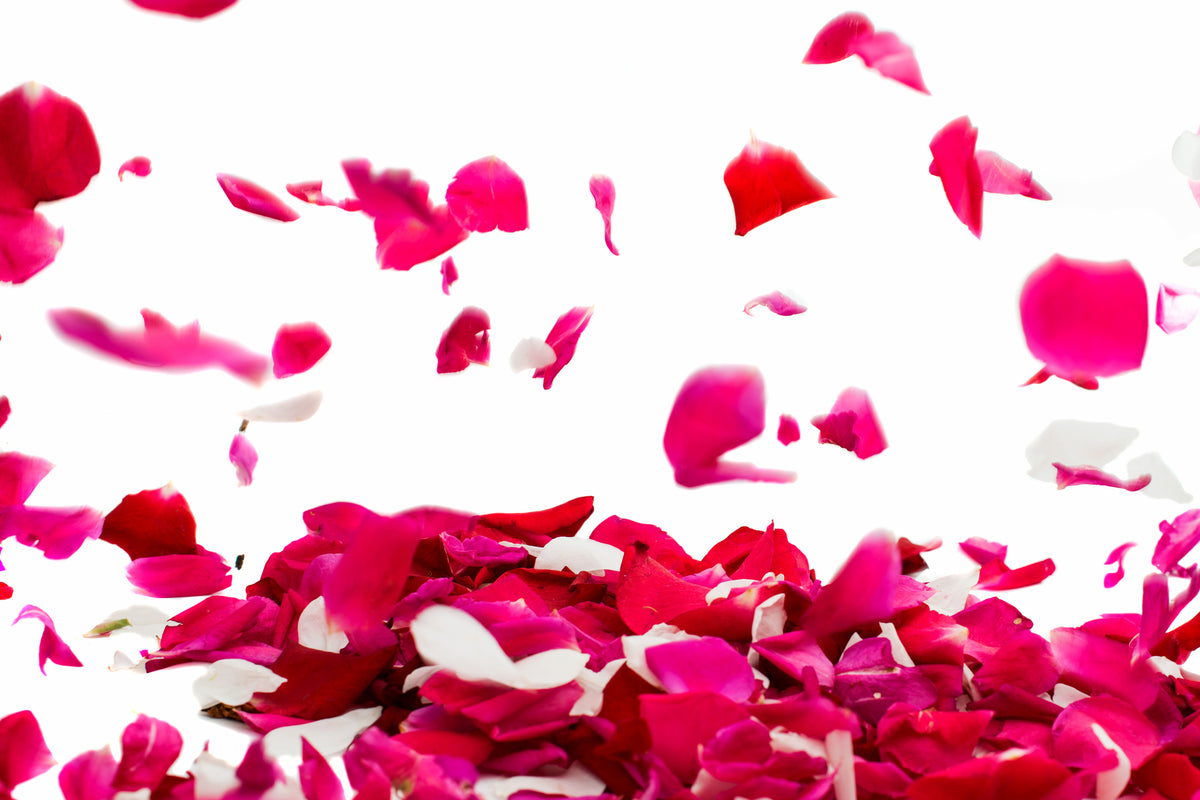 modern-3-piece-aluminium-print-let-it-rain-red-roses-for-me