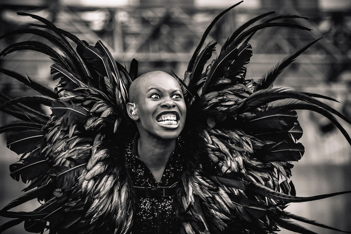 canvas-print-skunk-anansie