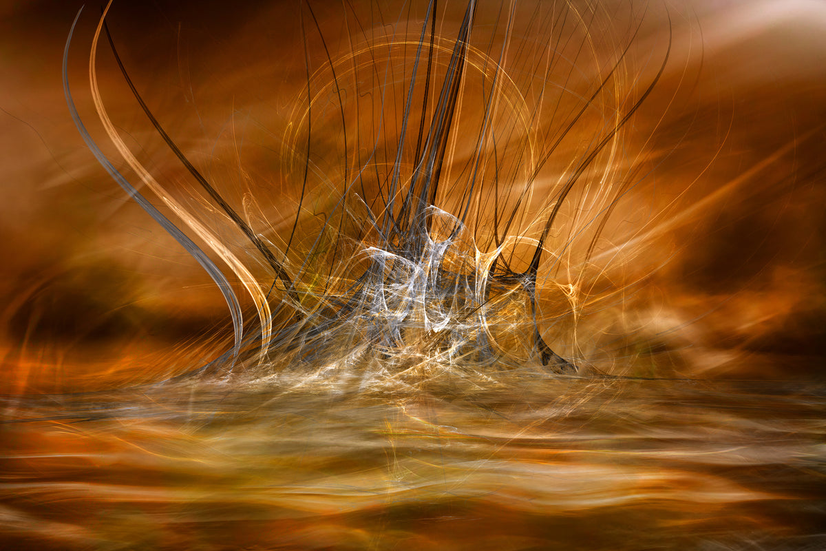 aluminium-print-the-rising-x