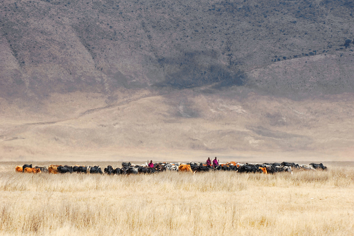 framedposter-print-incredible-maasai
