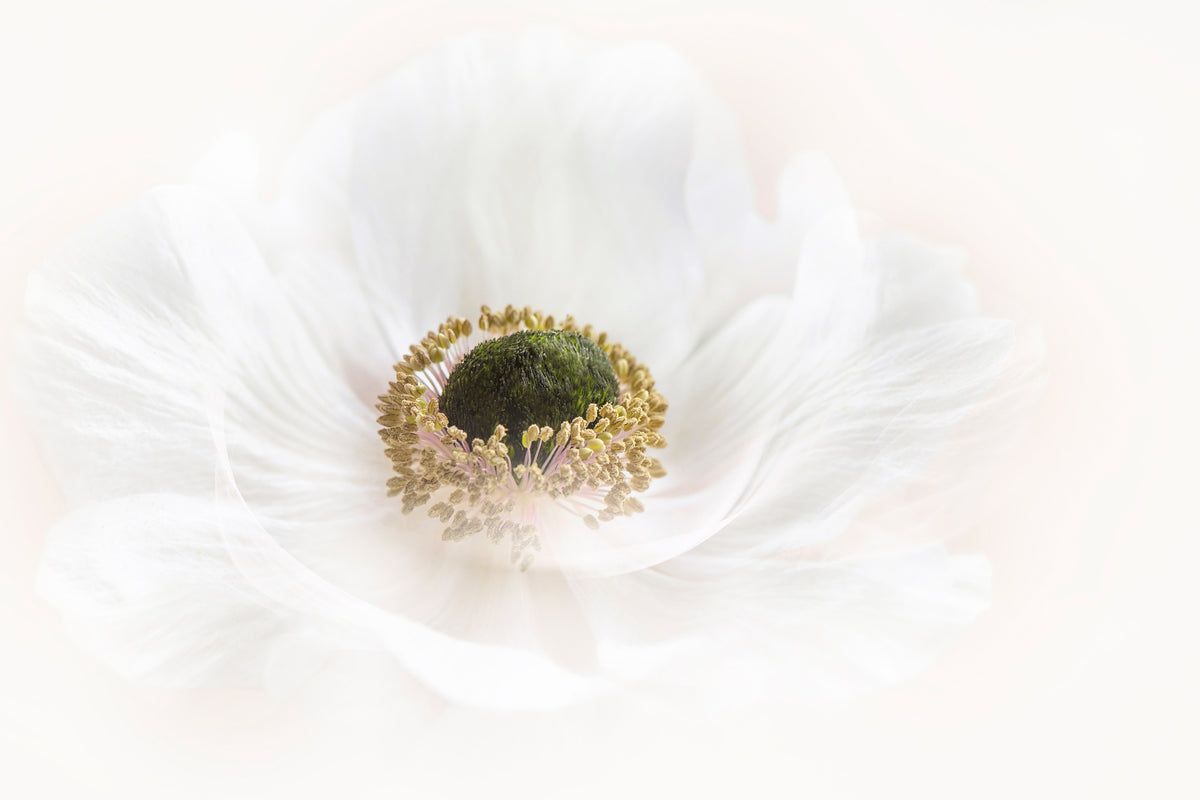 framedcanvas-print-pure-x