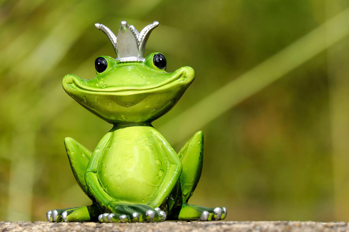 3-piece-aluminium-print-mr-frog-king