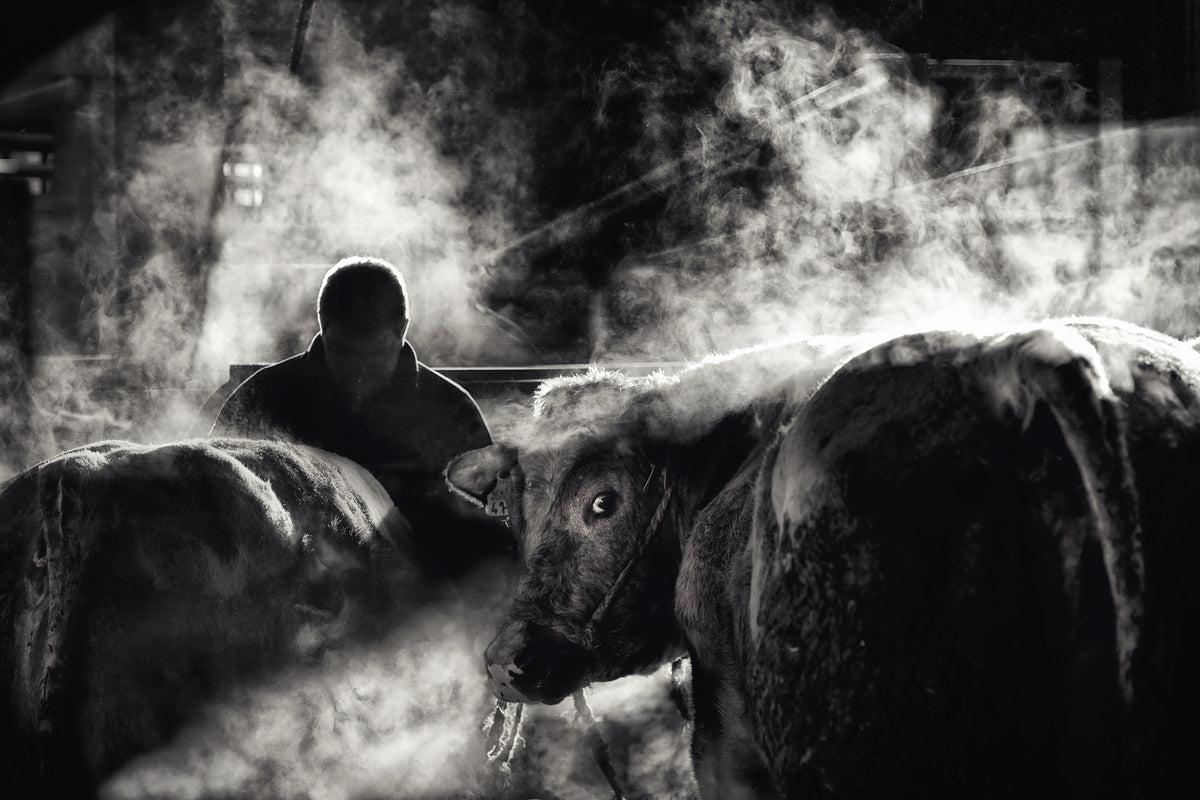canvas-print-farm-life