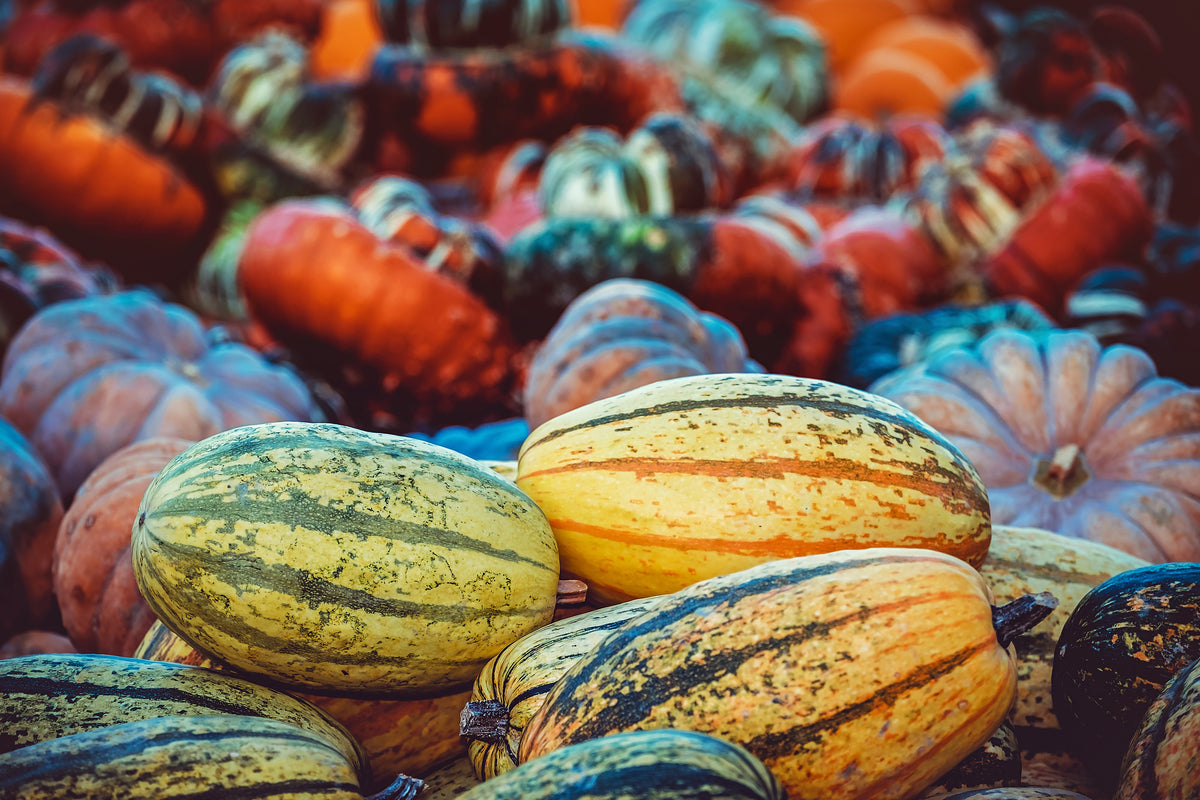 3-piece-acrylic-print-pumpkin-types